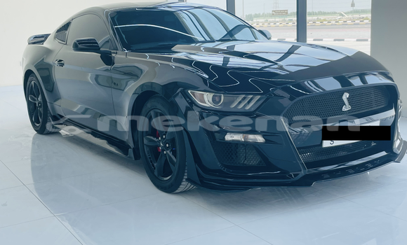 Buy Used Ford Mustang Black Car in Import - Dubai in Aragatsotn Buy Used Ford Mustang Black Car in Import - Dubai in Aragatsotn