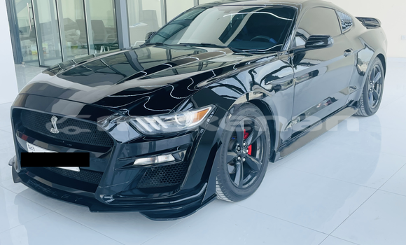 Buy Used Ford Mustang Black Car in Import - Dubai in Aragatsotn Buy Used Ford Mustang Black Car in Import - Dubai in Aragatsotn