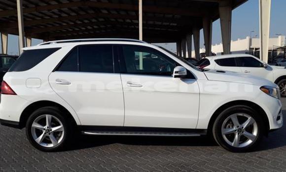 Buy Used Mercedes-Benz GLE White Car in Ararat in Ararat Buy Used Mercedes-Benz GLE White Car in Ararat in Ararat
