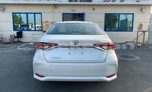 Buy New Toyota Corolla White Car in Abovyan in Kotaik Buy New Toyota Corolla White Car in Abovyan in Kotaik