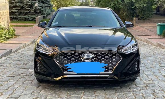 Buy Used Hyundai Sonata Black Car in Yerevan in Yerevan Buy Used Hyundai Sonata Black Car in Yerevan in Yerevan