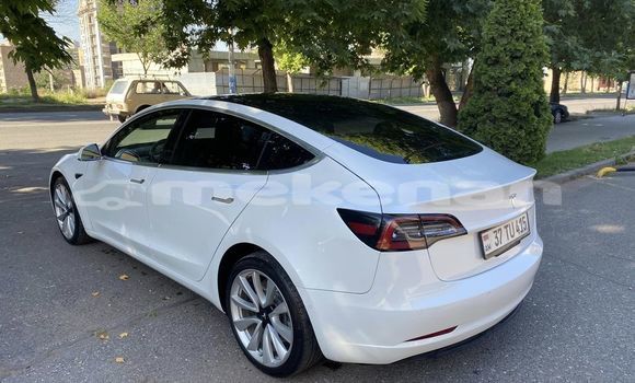Buy Used Tesla Model 3 White Car in Yerevan in Yerevan Buy Used Tesla Model 3 White Car in Yerevan in Yerevan