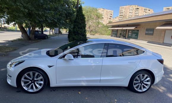 Buy Used Tesla Model 3 White Car in Yerevan in Yerevan Buy Used Tesla Model 3 White Car in Yerevan in Yerevan