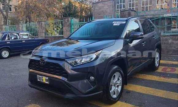 Buy Used Toyota RAV4 Black Car in Yerevan in Yerevan Buy Used Toyota RAV4 Black Car in Yerevan in Yerevan