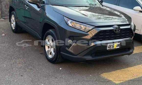 Buy Used Toyota RAV4 Black Car in Yerevan in Yerevan Buy Used Toyota RAV4 Black Car in Yerevan in Yerevan