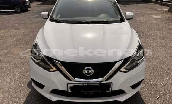 Buy Used Nissan Sentra White Car in Yerevan in Yerevan