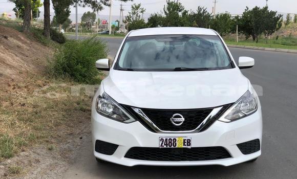 Buy Used Nissan Sentra White Car in Yerevan in Yerevan Buy Used Nissan Sentra White Car in Yerevan in Yerevan