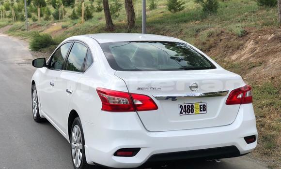 Buy Used Nissan Sentra White Car in Yerevan in Yerevan Buy Used Nissan Sentra White Car in Yerevan in Yerevan