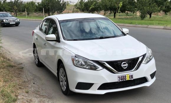 Buy Used Nissan Sentra White Car in Yerevan in Yerevan Buy Used Nissan Sentra White Car in Yerevan in Yerevan