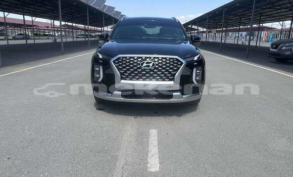 Buy Used Hyundai Pony Black Car in Yerevan in Yerevan Buy Used Hyundai Pony Black Car in Yerevan in Yerevan