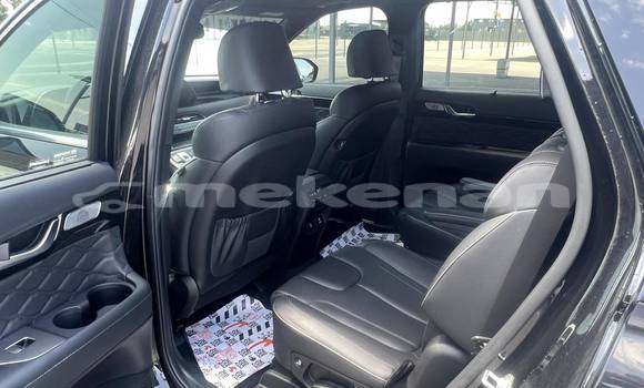 Buy Used Hyundai Pony Black Car in Yerevan in Yerevan Buy Used Hyundai Pony Black Car in Yerevan in Yerevan