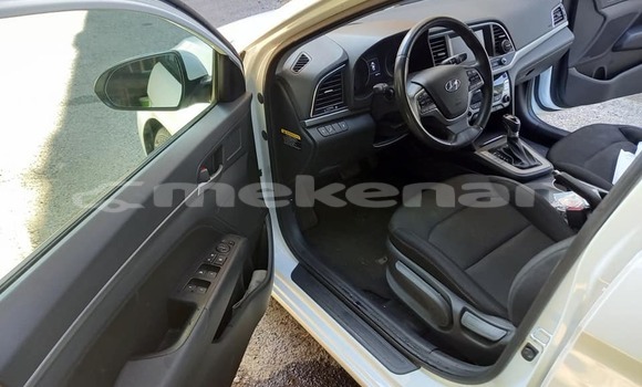 Buy Used Hyundai Elantra White Car in Yerevan in Yerevan Buy Used Hyundai Elantra White Car in Yerevan in Yerevan