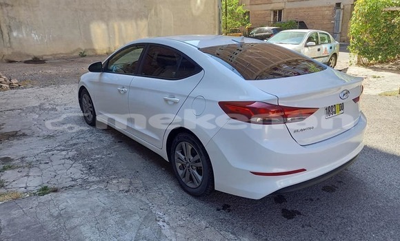 Buy Used Hyundai Elantra White Car in Yerevan in Yerevan Buy Used Hyundai Elantra White Car in Yerevan in Yerevan