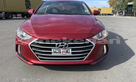 Buy Used Hyundai Elantra Red Car in Artashat in Ararat Buy Used Hyundai Elantra Red Car in Artashat in Ararat