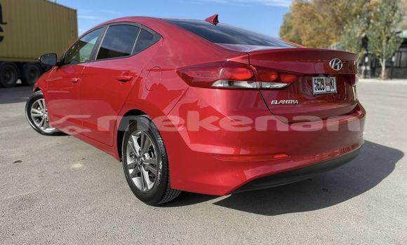 Buy Used Hyundai Elantra Red Car in Artashat in Ararat Buy Used Hyundai Elantra Red Car in Artashat in Ararat