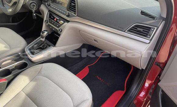 Buy Used Hyundai Elantra Red Car in Artashat in Ararat Buy Used Hyundai Elantra Red Car in Artashat in Ararat