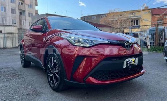 Buy Used Toyota C-HR Red Car in Yerevan in Yerevan