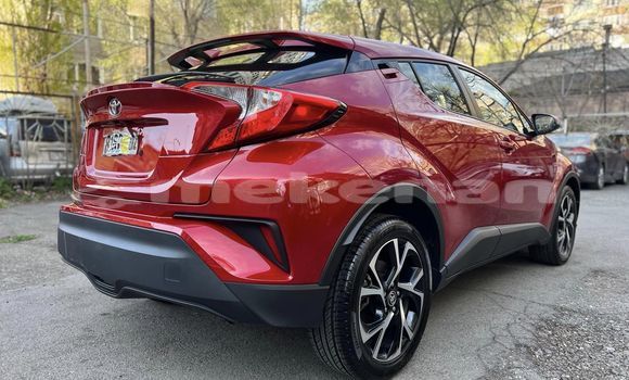 Buy Used Toyota C-HR Red Car in Yerevan in Yerevan Buy Used Toyota C-HR Red Car in Yerevan in Yerevan