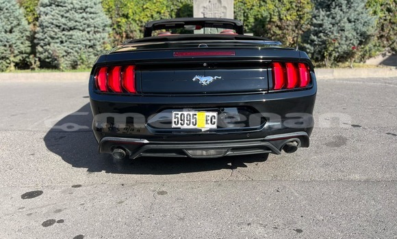 Buy Used Ford Mustang Black Car in Yerevan in Yerevan Buy Used Ford Mustang Black Car in Yerevan in Yerevan