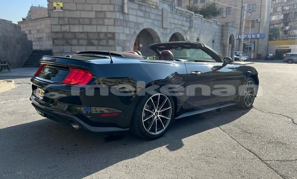Buy Used Ford Mustang Black Car in Yerevan in Yerevan Buy Used Ford Mustang Black Car in Yerevan in Yerevan