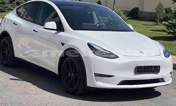Buy Used Tesla Model 3 White Car in Yerevan in Yerevan