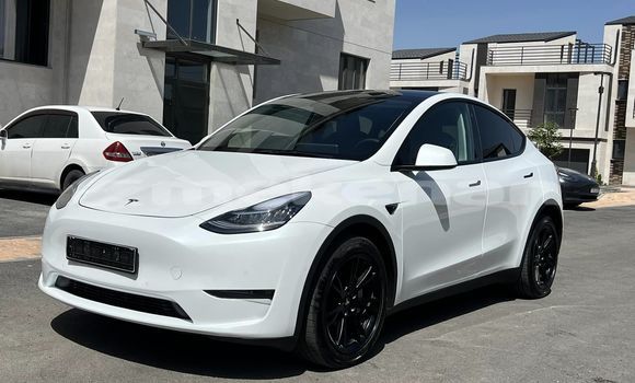 Buy Used Tesla Model 3 White Car in Yerevan in Yerevan Buy Used Tesla Model 3 White Car in Yerevan in Yerevan