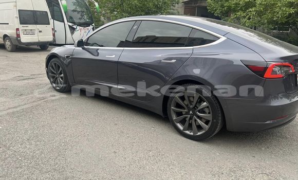 Buy Used Tesla Model 3 Black Car in Yerevan in Yerevan Buy Used Tesla Model 3 Black Car in Yerevan in Yerevan