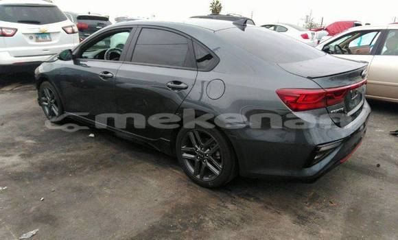 Buy Used Kia Forte Other Car in Armavir in Armavir Buy Used Kia Forte Other Car in Armavir in Armavir