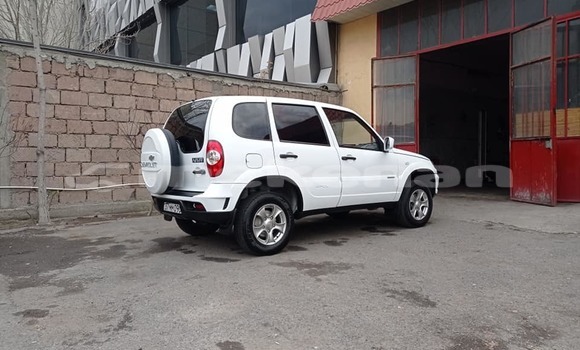 Buy Used Chevrolet Niva White Car in Angeghakot in Syunik Buy Used Chevrolet Niva White Car in Angeghakot in Syunik