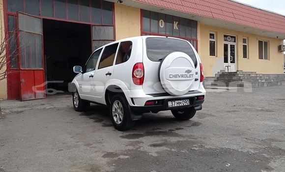 Buy Used Chevrolet Niva White Car in Angeghakot in Syunik Buy Used Chevrolet Niva White Car in Angeghakot in Syunik