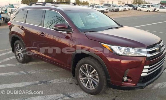Buy Import Toyota Highlander Other Car in Import - Dubai in Aragatsotn Buy Import Toyota Highlander Other Car in Import - Dubai in Aragatsotn