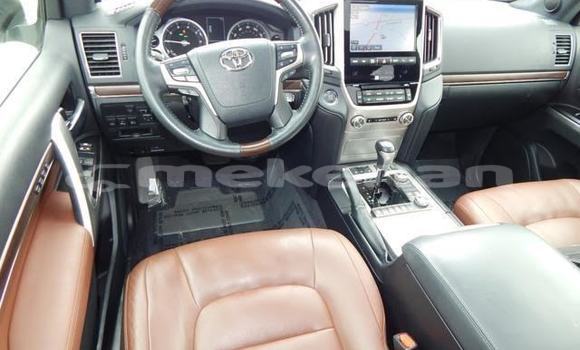 Buy Used Toyota Land Cruiser White Car in Ararat in Ararat Buy Used Toyota Land Cruiser White Car in Ararat in Ararat