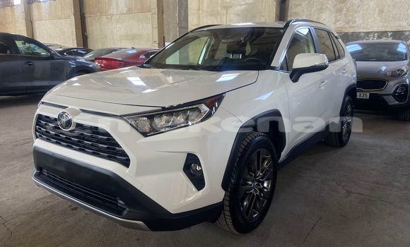 Buy Used Toyota RAV4 White Car in Artashat in Ararat Buy Used Toyota RAV4 White Car in Artashat in Ararat