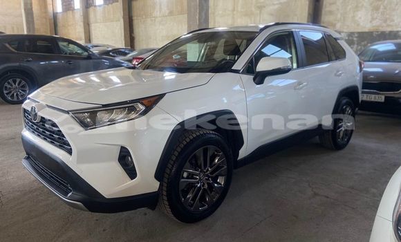Buy Used Toyota RAV4 White Car in Artashat in Ararat Buy Used Toyota RAV4 White Car in Artashat in Ararat