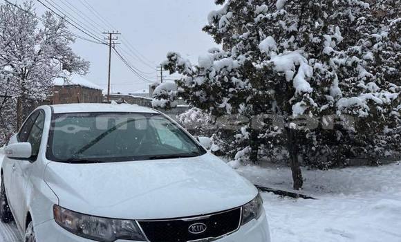 Buy Used Kia Forte Other Car in Armavir in Armavir