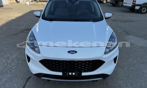 Buy Used Ford Escape White Car in Angeghakot in Syunik Buy Used Ford Escape White Car in Angeghakot in Syunik