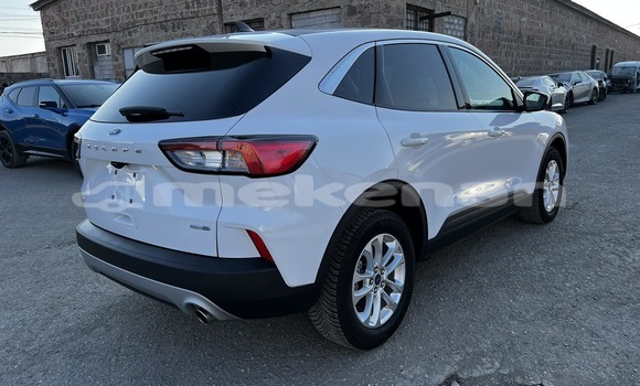 Buy Used Ford Escape White Car in Angeghakot in Syunik Buy Used Ford Escape White Car in Angeghakot in Syunik