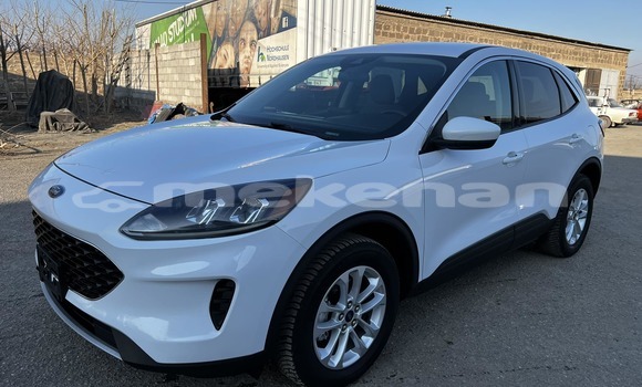 Buy Used Ford Escape White Car in Angeghakot in Syunik Buy Used Ford Escape White Car in Angeghakot in Syunik