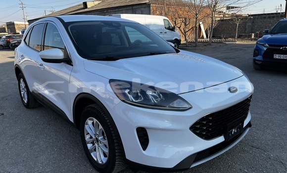 Buy Used Ford Escape White Car in Angeghakot in Syunik Buy Used Ford Escape White Car in Angeghakot in Syunik