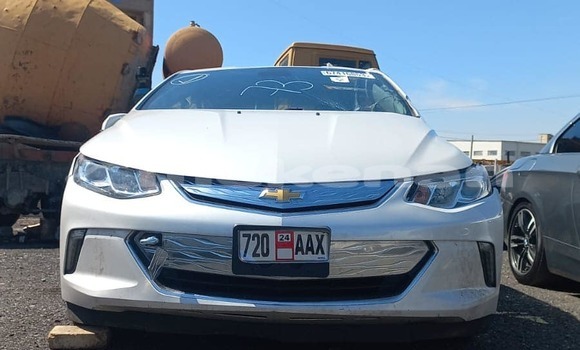 Buy Used Chevrolet Volt White Car in Angeghakot in Syunik Buy Used Chevrolet Volt White Car in Angeghakot in Syunik