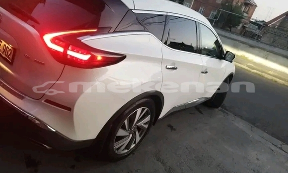 Buy Used Nissan Murano White Car in Gyumri in Shirak Buy Used Nissan Murano White Car in Gyumri in Shirak