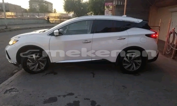 Buy Used Nissan Murano White Car in Gyumri in Shirak Buy Used Nissan Murano White Car in Gyumri in Shirak