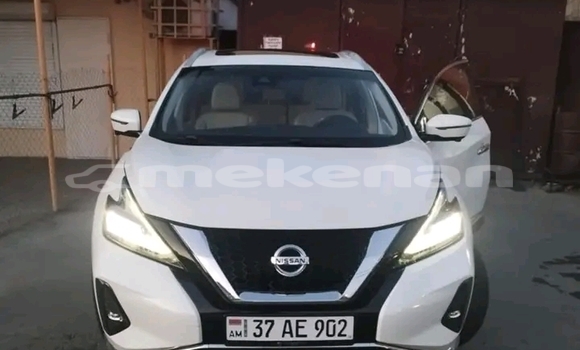 Buy Used Nissan Murano White Car in Gyumri in Shirak Buy Used Nissan Murano White Car in Gyumri in Shirak