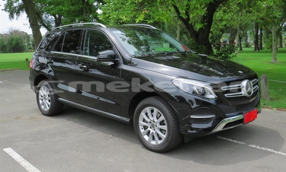 Buy Used Mercedes-Benz GLE Black Car in Yerevan in Yerevan
