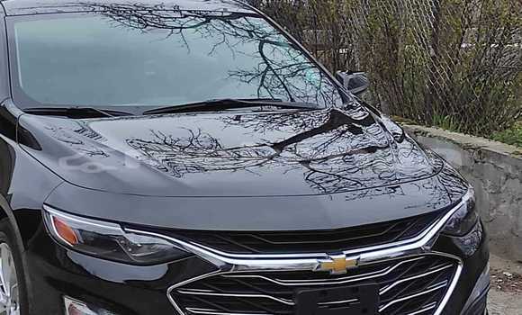 Buy Used Chevrolet Malibu Other Car in Armavir in Armavir Buy Used Chevrolet Malibu Other Car in Armavir in Armavir