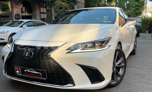 Buy Used Lexus RX 350 White Car in Armavir in Armavir