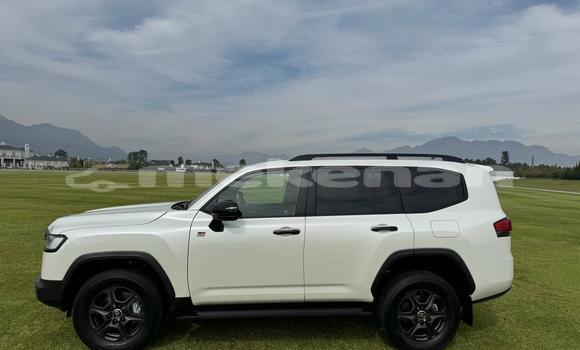 Buy Used Toyota Land Cruiser White Car in Yerevan in Yerevan Buy Used Toyota Land Cruiser White Car in Yerevan in Yerevan