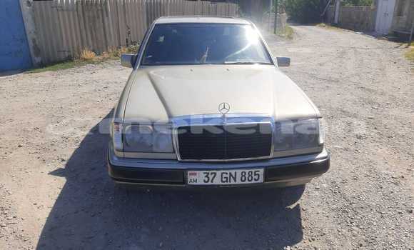Buy Used Mercedes-Benz 190 (W201) Other Car in Angeghakot in Syunik Buy Used Mercedes-Benz 190 (W201) Other Car in Angeghakot in Syunik