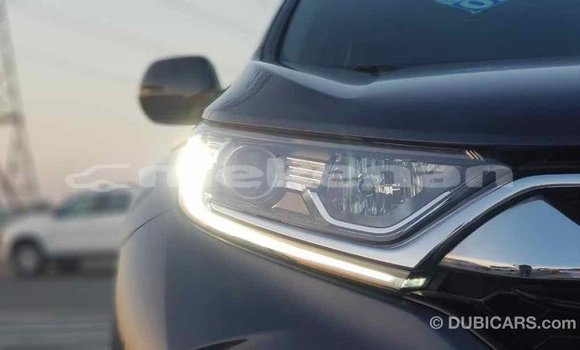 Buy Import Honda C Other Bike in Import - Dubai in Aragatsotn Buy Import Honda C Other Bike in Import - Dubai in Aragatsotn