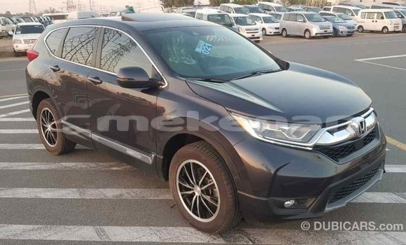 Buy Import Honda C Other Bike in Import - Dubai in Aragatsotn Buy Import Honda C Other Bike in Import - Dubai in Aragatsotn